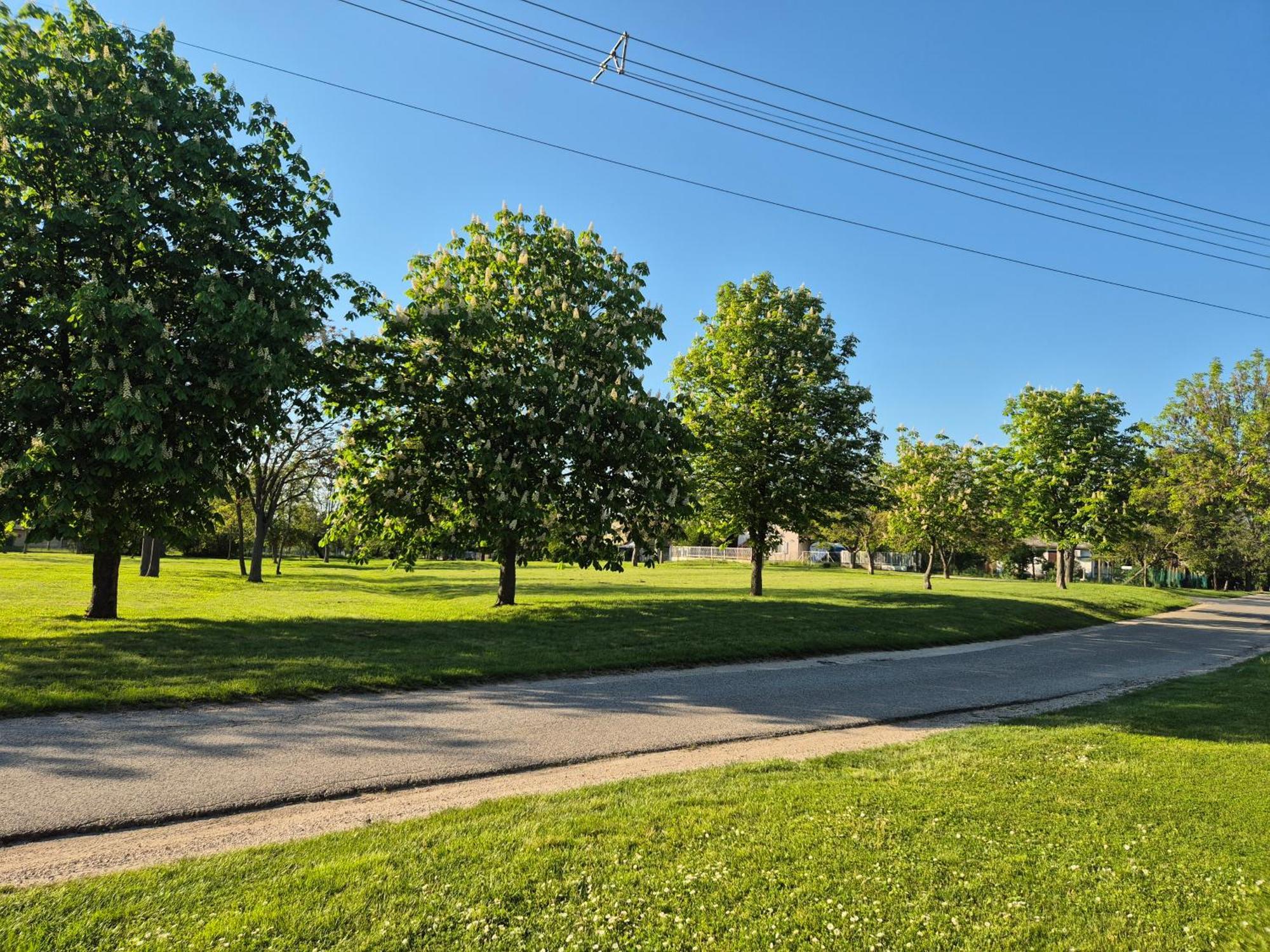 Siofoki Nyaralohaz Villa Buitenkant foto